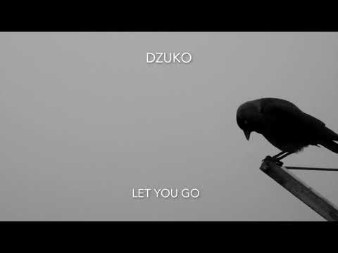 DZUKO - LET YOU GO (Official lyrics video)  ||  LAST TIME Part. 2