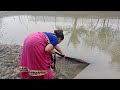 Cast Net Fishing Beautiful Village Girl Catching With A Cast Net