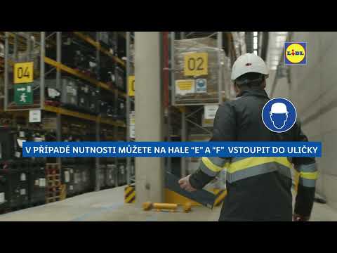 Náhled pro video reference