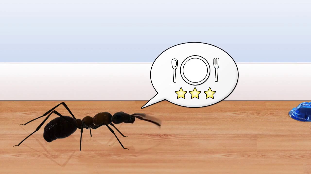 Maurpakke - LITEN - God start for godt resultat!