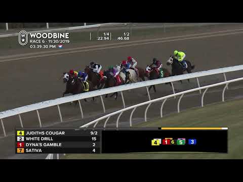 Woodbine: November 30, 2019 - Race 6