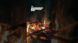 Download lagu 🍃 #story #storyharian #4u #quotes #quote #sadstory #shorts #whatsappstatus #storywa #whatsapp_status mp3 Download lagu 🍃 #story #storyharian #4u #quotes #quote #sadstory #shorts #whatsappstatus #storywa #whatsapp_status mp3