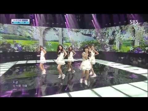 Apink - No No No @ SBS Inkigayo 130721