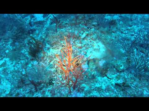 Lowrance wreck 071213