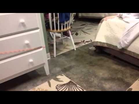 Jaina, Dahnay and The Toy