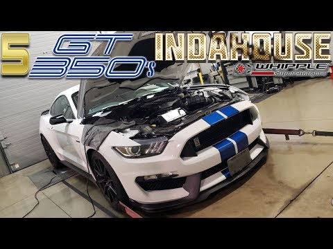 FIVE GT350 Whipple Supercharger Installs & Tour (@ BRENSPEED) MUSTANG LIFE