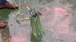 Ловля рыбы зимой на хапугу