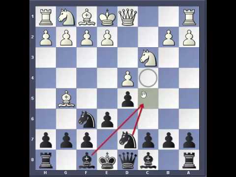 Trappole in Apertura 12 - Difesa Ortodossa