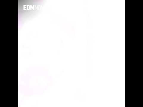 Armin Van Buuren Live At Ultra Music Festival