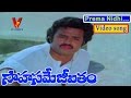 Prema Nidhi Sahasame Jeevitham Telugu Movie Songs Balakrishna Vijji V9 Videos