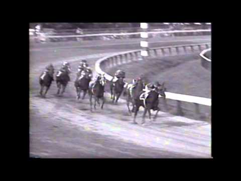 The Long Ryders - Run Dusty Run