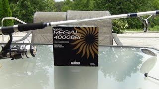 Daiwa regal plus bri-ab 4500