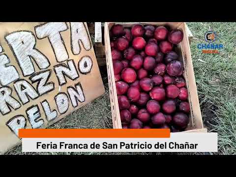 Productores locales impulsan la Feria Franca en San Patricio del Chañar