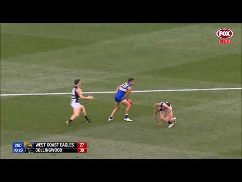 Will Schofield 2018 AFL Grand Final Highlights