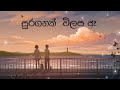 DILU BEATS නුඹ හා Suraganak Vilasa Song Lyrics