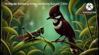 Download lagu Masteran Belalang Emas Sambung Burung Cililin Jeda 1 Menit Air Mengalir mp3 Download lagu Masteran Belalang Emas Sambung Burung Cililin Jeda 1 Menit Air Mengalir mp3