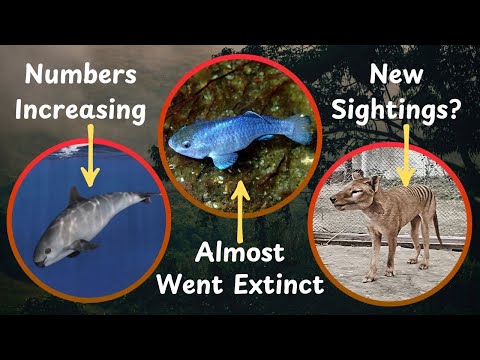 Big Updates For These Rare Species