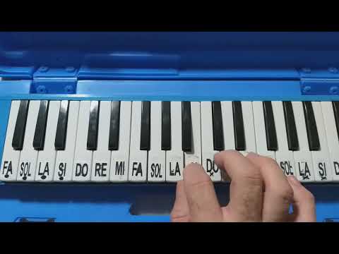 EU SÓ QUERO UM XODÓ NA ESCALETA.