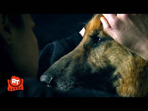 S.W.A.T. - クリスの相棒犬が死に瀕している (S2E18) (2/5) | Movieclips (S.W.A.T. - Chris' Dog Partner Is Dying (S2E18) (2/5) | Movieclips)