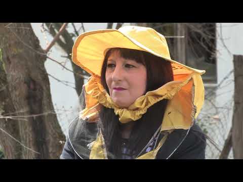 Boja meda ep.60 30.04.2019. - Kako napraviti pčelinjak na točkovima...