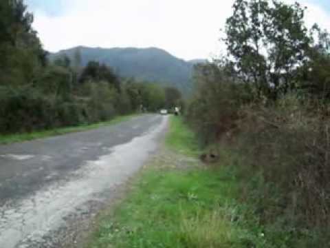 1° Rally dei Colli di Luni 03.11.2013 con Alfamaniapassion