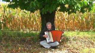 Yann Tiersen La Veillée - Sad song instrumental - French music accordion - Akkordeon accordeon