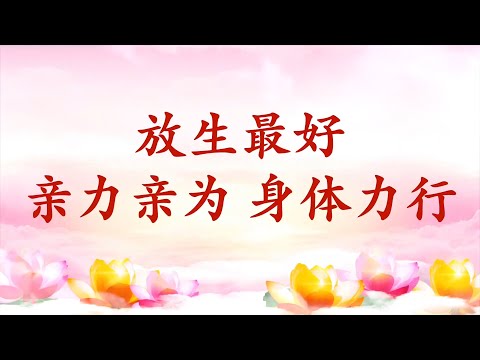 3. 【节目录音+字幕】放生最好亲力亲为 身体力行
