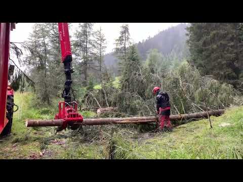 KW 31/2023 Bauhof 90 Sekunden - Der Wochenrückblick