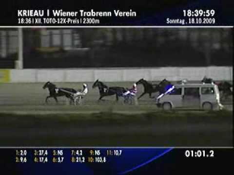 Krieau 18.10.2009 Lauf 12 - Sieger Hi Hall King