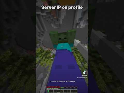 Daquavis - Minecraft villager chase