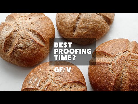 Ready to Bake? Gluten-Free Sourdough Baking TIPS