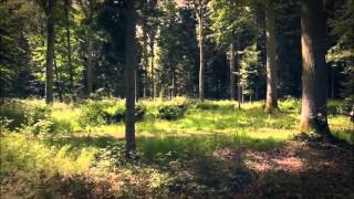 Music video thumbnail preview for Antiquus Scriptum - Den Nordiske Sjel Lever I Meg by Antiquus Scriptum