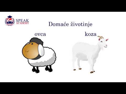 Lesson 13.1 Serbian Language - Animals