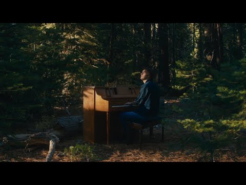 Noah Rinker - The Pines (Official Lyric Video)