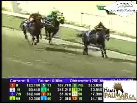 LA RINCONADA 8 CARRERA, DOMINGO 04 DE SEPTIEMBRE DEL 2016