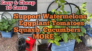 EASY Support for Tomato Eggplant Squash Watermelon Trellis Vegetable Garden Container Gardening