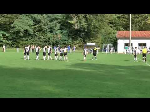 FV Elsenz Vorrunde 2014-15