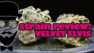 Strain Review: Velvet Elvis (Kannabis) - YoungFashioned.com