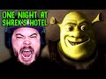 SHREK DID NOT WANT ME TO FIND HIS SECRET ROOM One Night At Shrek S Hotel