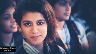 Download lagu Priya Prakash varrier 1st viral video mp3 Download lagu Priya Prakash varrier 1st viral video mp3