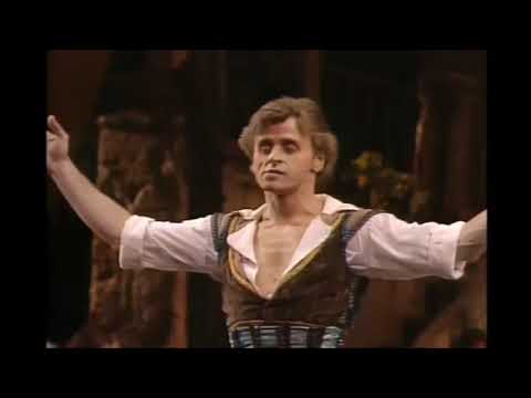 Baryshnikov ~ Don Q
