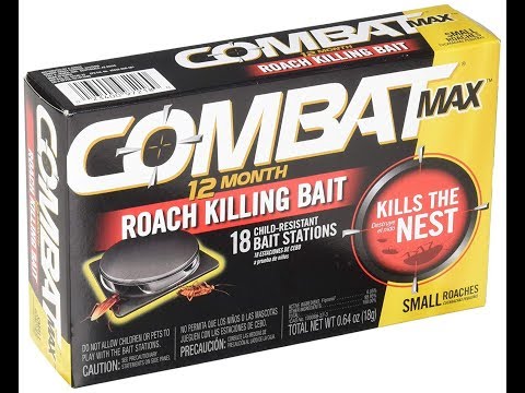 Combat Max 12 Month Roach Killing Bait - How to kill insects