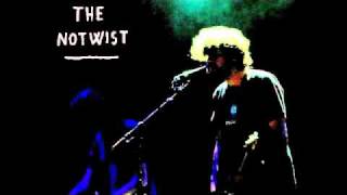 The Notwist  - My Faults