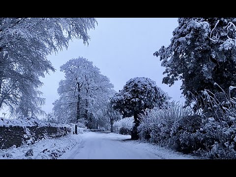 Thorsten Quaeschning & Picture Palace music.