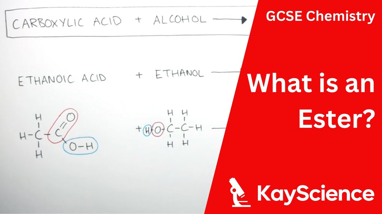 What Is An Ester - GCSE Chemistry | kayscience.com
