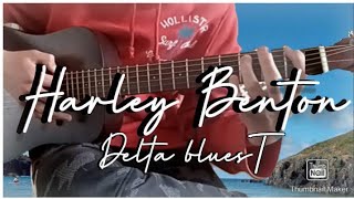 Video thumbnail for Harley Benton Delta blues T by asc24hoth