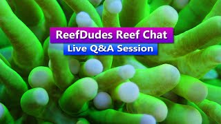 ReefDudes Reef Chat - Live Q&A Saltwater Aquarium Chat