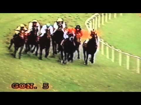 Nagroda Criterium - 31.10.1998 - Dżiuseppa (Who Knows - Dżugara)