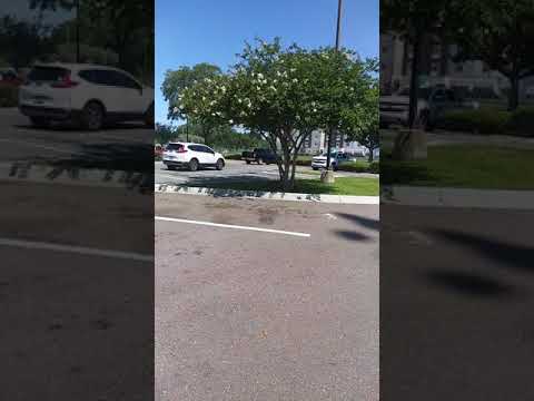 DMR news the trisexual / white Pig/pathological liar