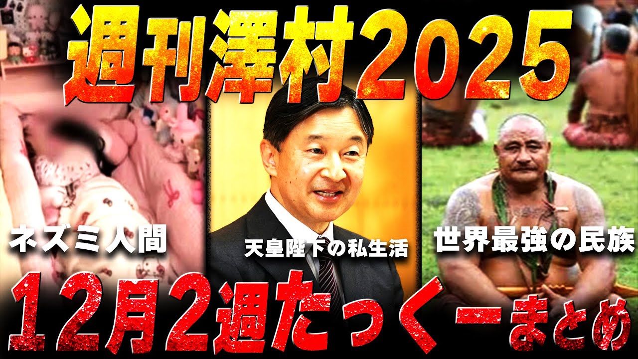 【週刊澤村2025】12月第2週たっくー動画まとめ【たっくー切り抜き】